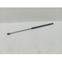 Amortecedor Tampa Traseira  Focus 2013 2017  Hatch  M14672