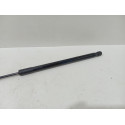 Amortecedor Tampa Traseira  Focus 2013 2017  Hatch  M14672